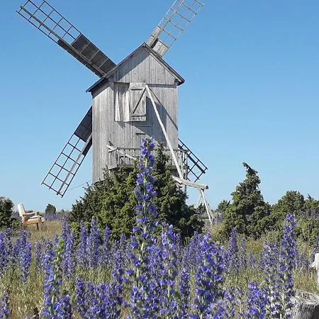 Windmill -experience * Ohessaare