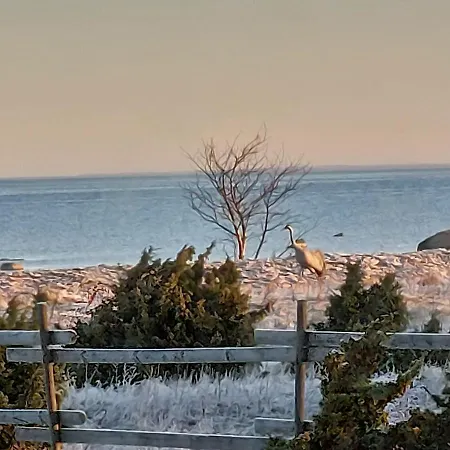 Windmill -experience אכסניה *