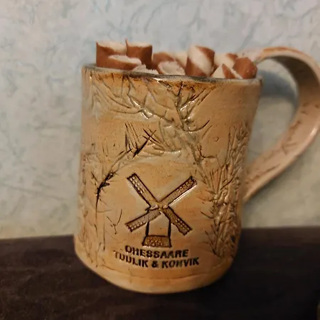 Windmill -experience Ohessaare