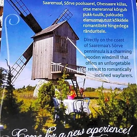 Windmill -experience