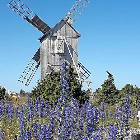 Lodge Windmill -experience Ohessaare