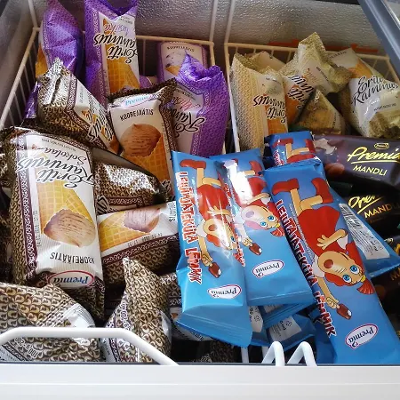 Orman Evi Windmill -experience