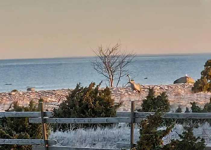 Windmill -experience אכסניה *