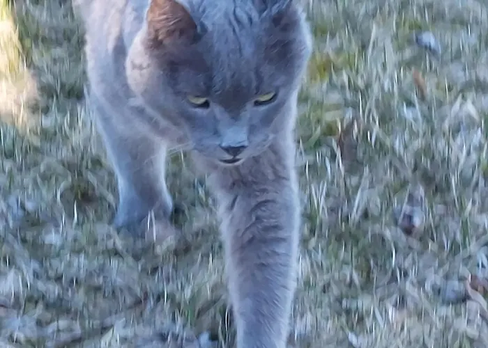 אכסניה Windmill -experience