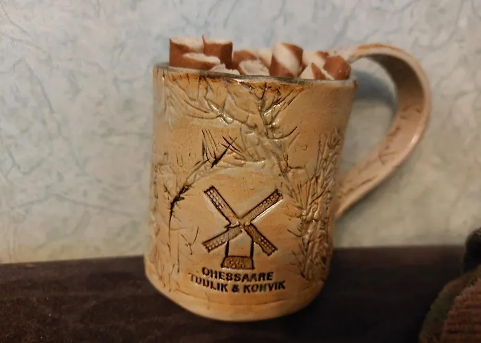 Windmill -experience Ohessaare