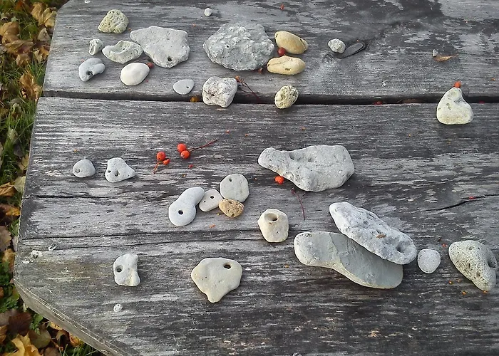 Windmill -experience * Ohessaare