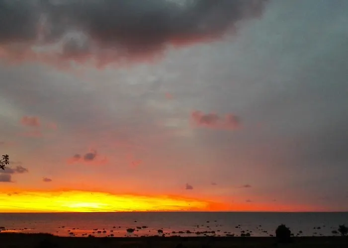 Windmill -experience *