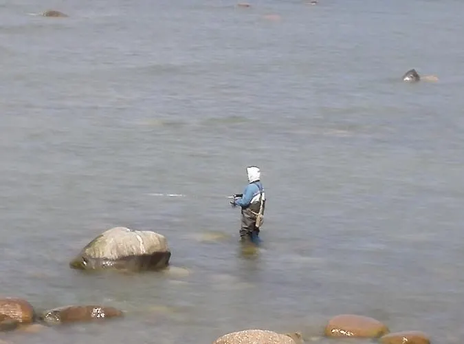 Windmill -experience